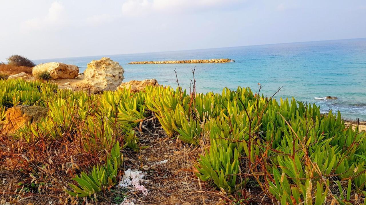 Dahan Sirena Lighthouse Luxury Apartment Paphos Bagian luar foto